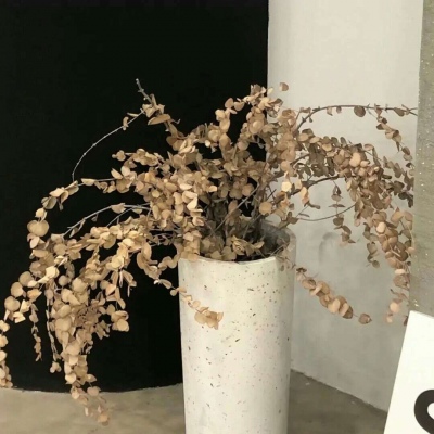 兽设表情绘制实用教程兽圈社群